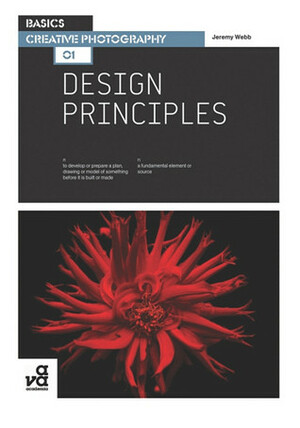 Basics Creative Photography 01: Design Principles by Jeremy Webb