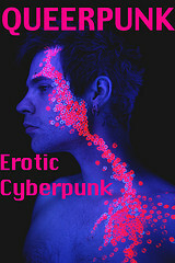 Queerpunk: Erotic Cyberpunk by Kal Cobalt, Kannan Feng, Cecilia Tan, R.E. Bond, Eric Del Carlo, Sunny Moraine, Kelly Kinkaid