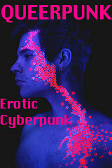 Queerpunk: Erotic Cyberpunk by Cecilia Tan, Sunny Moraine, Kal Cobalt, Kannan Feng, Kelly Kinkaid, R.E. Bond, Eric Del Carlo