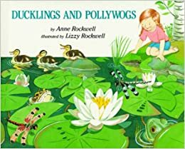 Ducklings and Pollywogs by Anne Rockwell