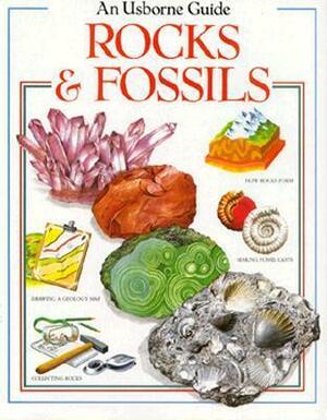 Rocks and Fossils by Martyn Bramwell