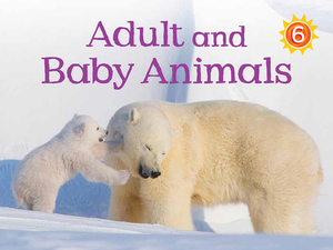 Adult and Baby Animals (English) by Kelly Ward