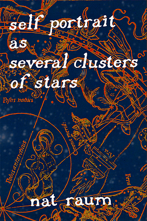 self portrait as several clusters of stars by nat raum