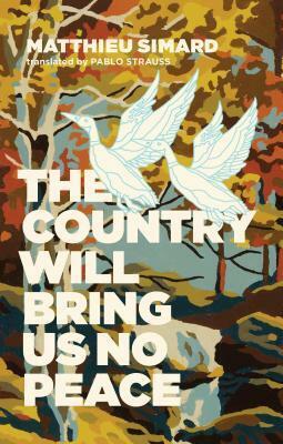The Country Will Bring Us No Peace by Pablo Strauss, Matthieu Simard