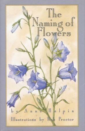 The Naming of Flowers by Anne Halpin