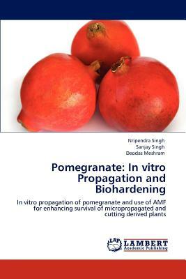 Pomegranate: In Vitro Propagation and Biohardening by Sanjay Singh, Deodas Meshram, Nripendra Singh