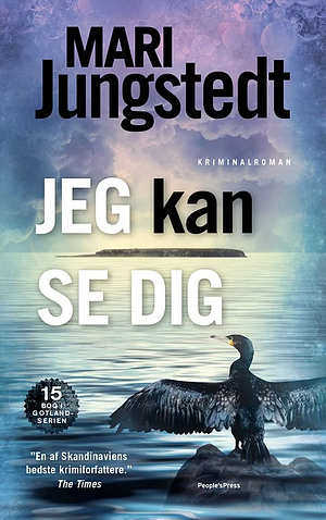 Jeg kan se dig by Mari Jungstedt