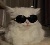 paula15's profile picture