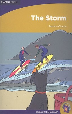 The Storm by Patricia Chapin