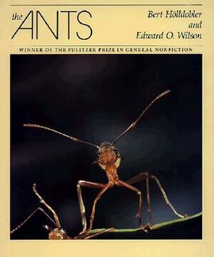 The Ants by Edward O. Wilson, Bert Holldobler