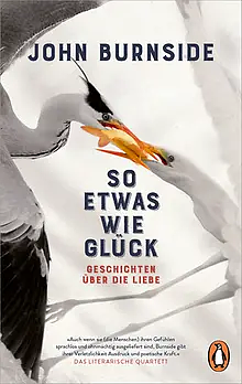 So etwas wie Glück: Geschichten über die Liebe by John Burnside