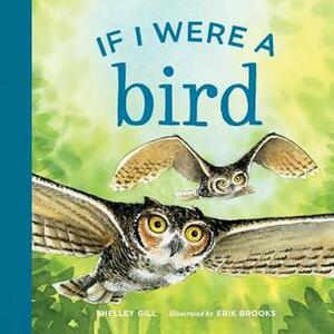 If I Were a Bird by Shelley Gill, Erik Brooks