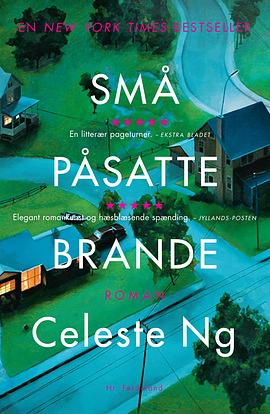 Små påsatte brande by Celeste Ng