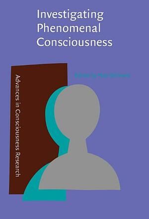 Investigating Phenomenal Consciousness: New Methodologies and Maps by Max Velmans