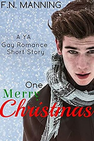 One Merry Christmas: YA Gay Romance (One More Thing Book 7) by F.N. Manning