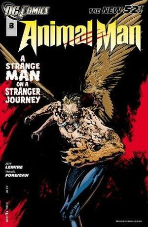 Animal Man #3 by Jeff Lemire