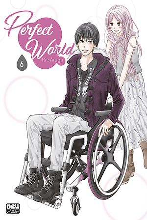 Perfect World, Vol. 6 by Rie Aruga