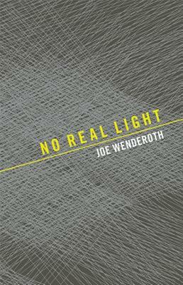 No Real Light by Joe Wenderoth