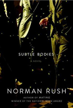 Subtle Bodies by Norman Rush