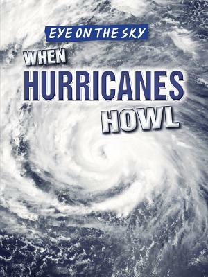 When Hurricanes Howl by Barbara M. Linde