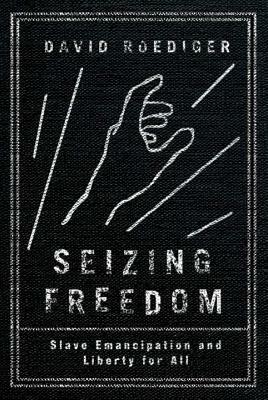 Seizing Freedom: Slave Emancipation and Liberty for All by David R. Roediger