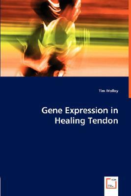 Gene Expression in Healing Tendon by Tim Molloy