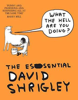 What the Hell Are You Doing?: The Essential David Shrigley by David Shrigley