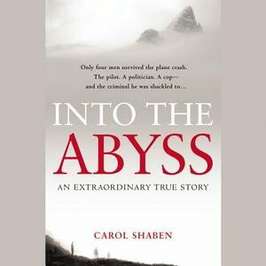 Into the Abyss by Carol Shaben