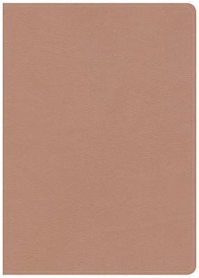 CSB She Reads Truth Bible, Rose Gold LeatherTouch, Indexed, Black Letter, Full-Color Design, Wide Margins, Journaling Space, Devotionals, Reading Plans, Single-Column, Easy-to-Read Bible Serif Type by Raechel Myers, Raechel Myers