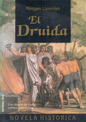 El druida by Jorge Ribera, Morgan Llywelyn
