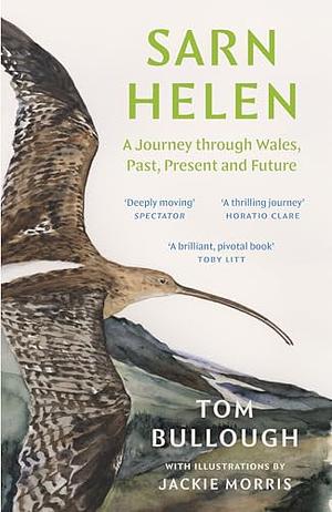 Sarn Helen: A Journey Through Wales, Past, Present and Future by Tom Bullough