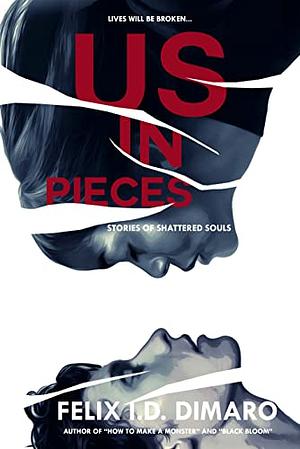 Us in Pieces: Stories of Shattered Souls by Felix I.D. Dimaro