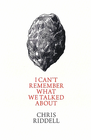 I Can't Remember What We Talked About by Chris Riddell