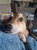 laura_eb's profile picture
