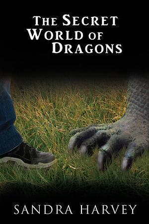 The Secret World of Dragons by Sandra Harvey