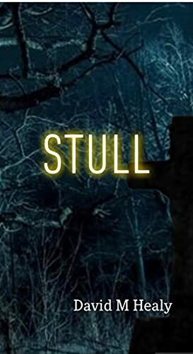 Stull by David M Healy