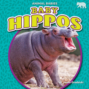 Baby Hippos by Jenna Grodzicki
