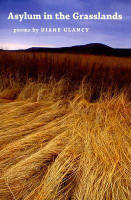 Asylum in the Grasslands by Diane Glancy