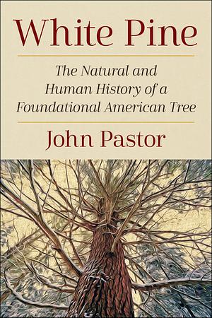 White Pine: The Natural and Human History of a Foundational American Tree by John Pastor