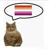emilykogan's profile picture