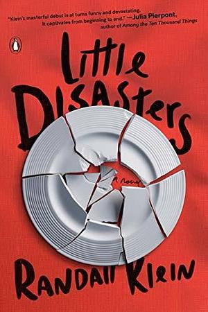 Little Disasters: A Novel by Randall Klein, Randall Klein