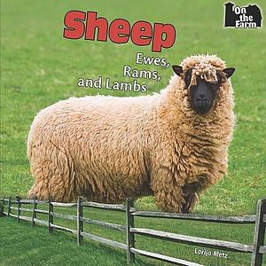 Sheep: Ewes, Rams, and Lambs by Lorijo Metz