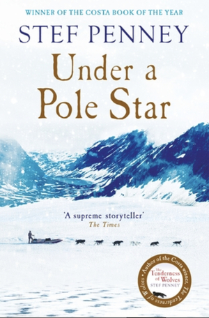 Under a pole star by Stef Penney