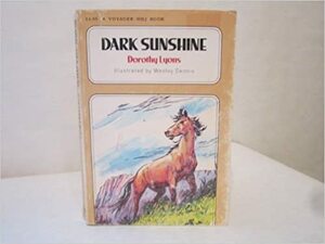 Dark Sunshine by Dorothy Lyons