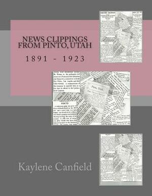 News Clippings from Pinto, Utah: 1891 - 1923 by David Andersen, Kaylene Canfield