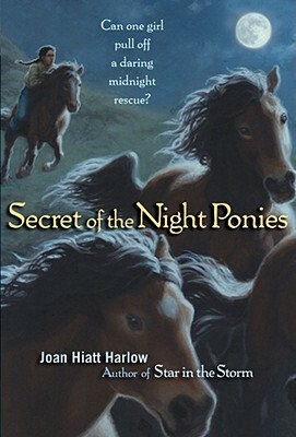 Secret of the Night Ponies by Joan Hiatt Harlow