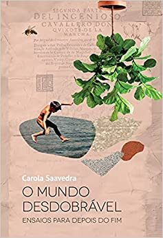 O Mundo Desdobrável: ensaios para depois do fim by Carola Saavedra