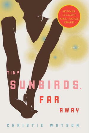 Tiny Sunbirds, Far Away by Christie Watson