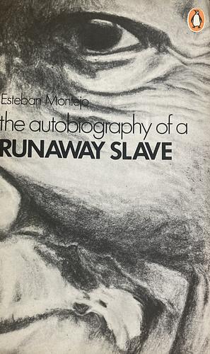 The Autobiography of a Runaway Slave by Esteban Montejo
