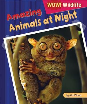 Amazing Animals at Night by Alix Wood